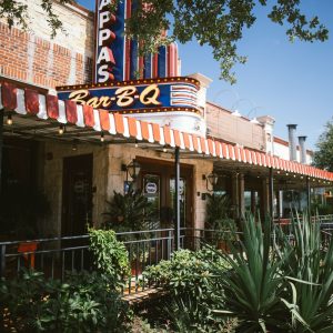 ac1000_pan_type_door_and_patio_awning_02